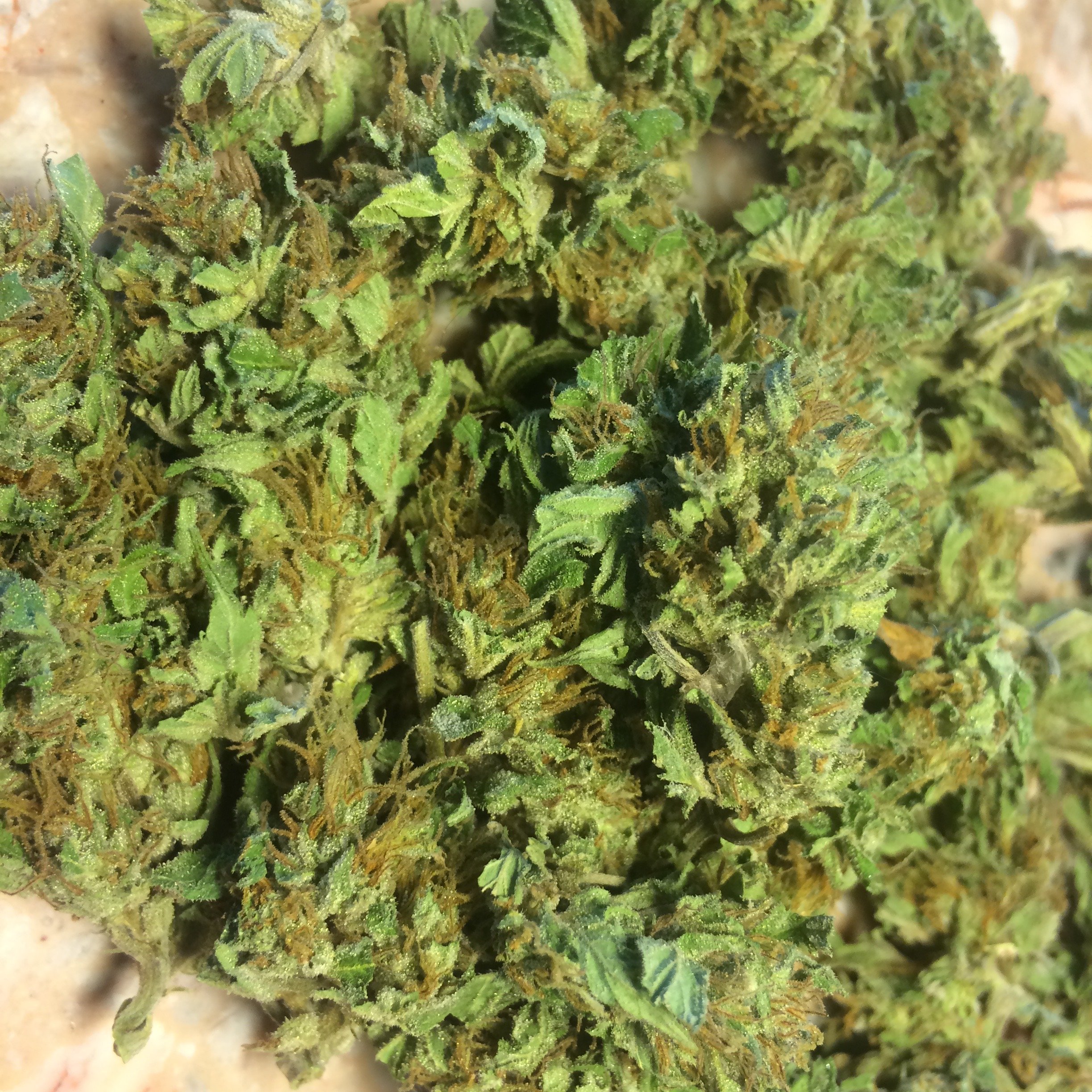 Mark's Widow Kush OS (Old School)